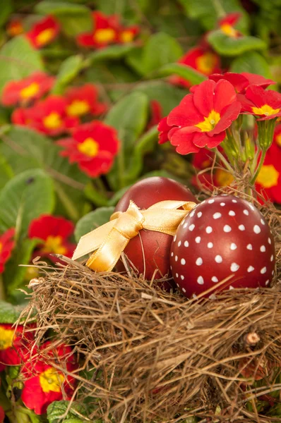 Easter Eggs on bird's-nest — Stock Photo, Image