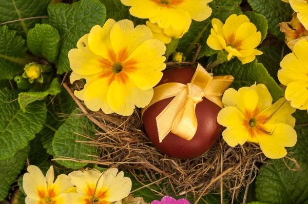 Easter Eggs on bird's-nest — Stock Photo, Image