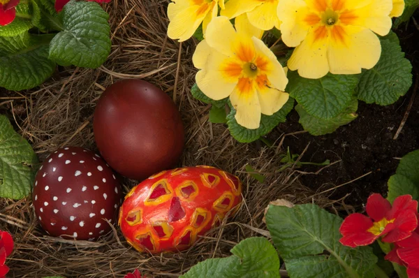 Easter Eggs — Stock Photo, Image