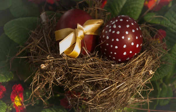 Easter Eggs — Stock Photo, Image