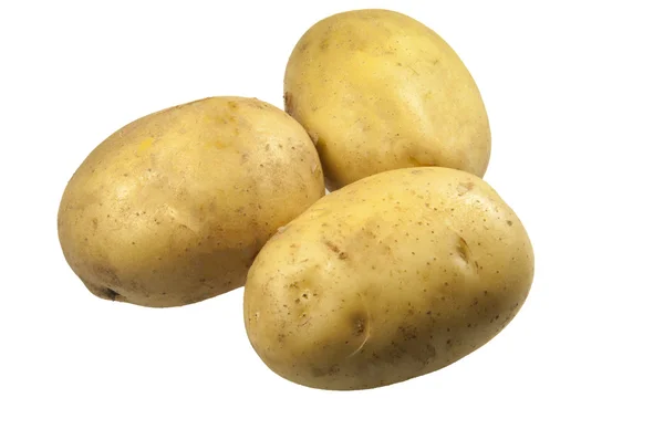 Potatos 흰색 절연 — 스톡 사진