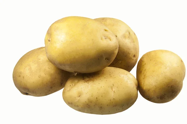 Potatos geïsoleerd op wit — Stockfoto