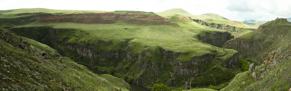 ani kenti