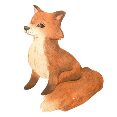 Tasarım için suluboya tilki, kartlar için yavru tilki, çıkartmalar, baskılar, dekorlar ve çocuk baskıları için tasarım