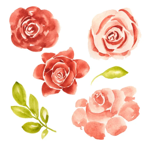 Watercolor clipart on the theme of vintage flowers: red roses of different sizes, a green twig with leaves and a green leaf. Symbols for design