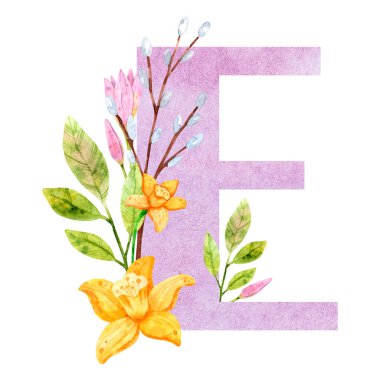 Metinlerin tasarımı ve dekorasyonu için çiçek unsurları laleleri ve dallarla E harfinden suluboya kompozisyonu, tebrikler, hatıra defteri, davetiyeler