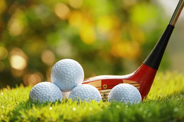 Golfpallot ja puinen kuljettaja tekijänoikeusvapaita valokuvia kuvapankista