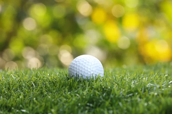 Bola golf di rumput hijau Stok Gambar Bebas Royalti