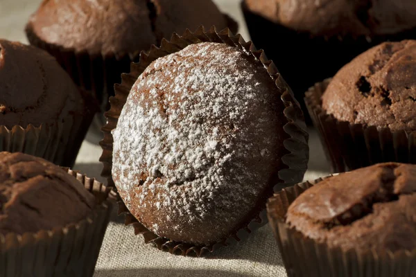 Chocolate cake — Stock Photo, Image