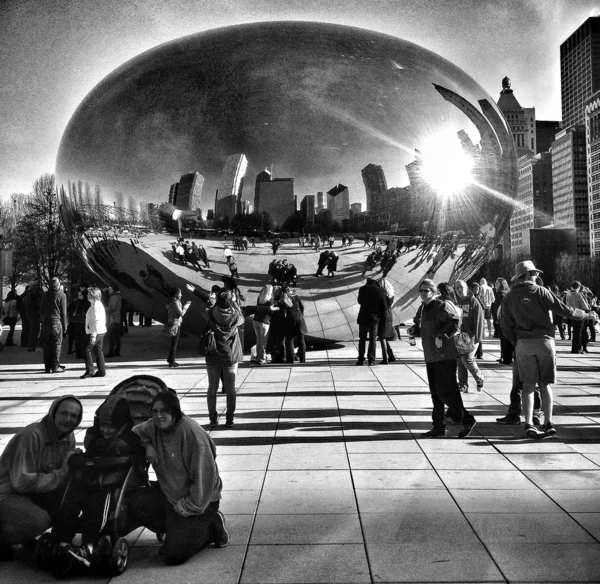 Frijol Chicago — Foto de Stock