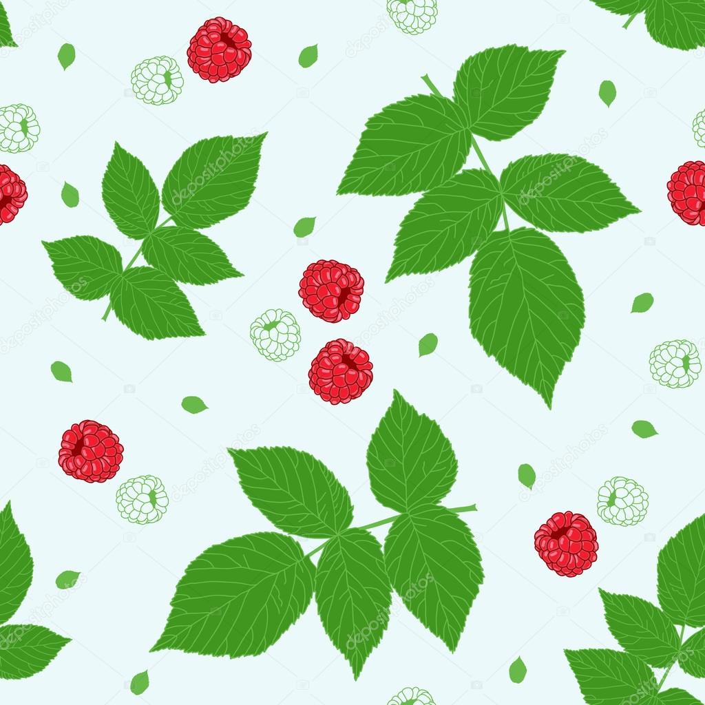 Seamless pattern with raspberries and green raspberry leaves on a white field