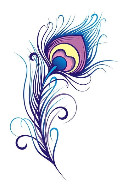 Stylized peacock feather — Stock Vector