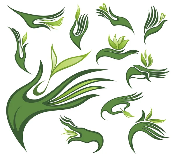 Handen met groen blad — Stockvector