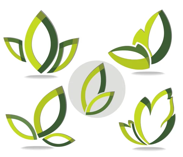 Yeşil yaprak vektör kavramı — Stok Vektör