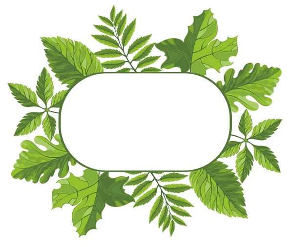 Cadre avec feuilles vertes — Image vectorielle