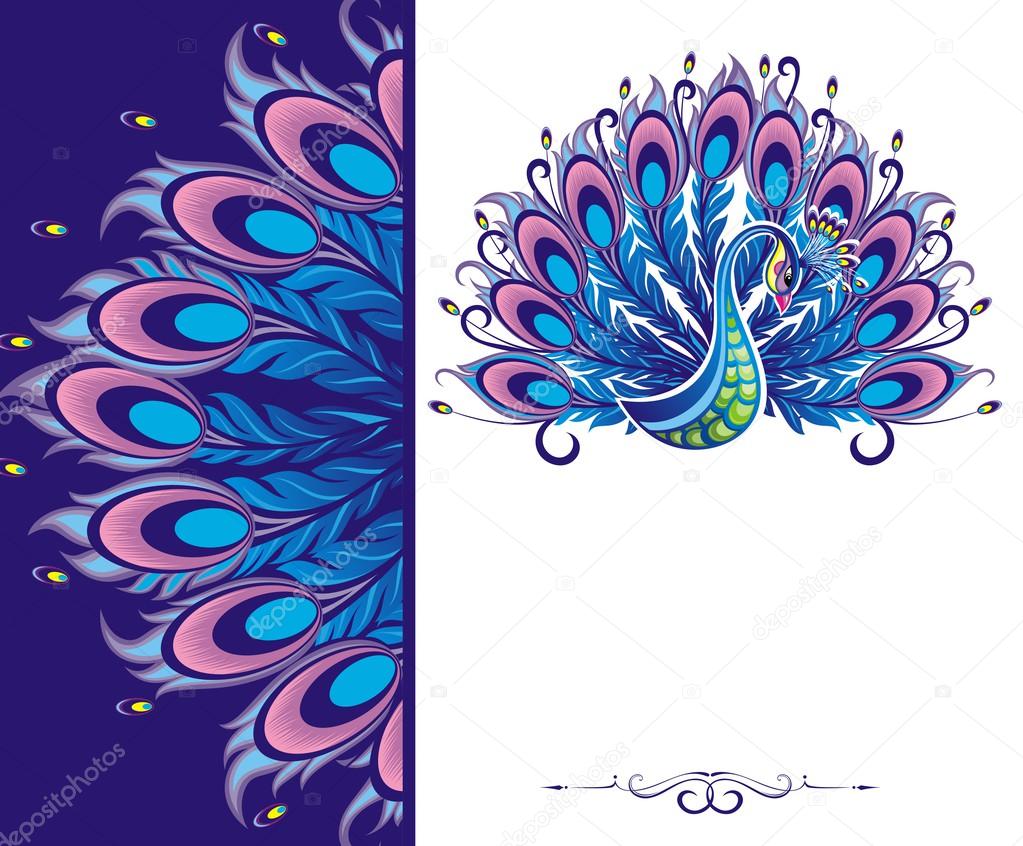 Peacock card Stock Vector Image by ©Ksyshakiss #43677447