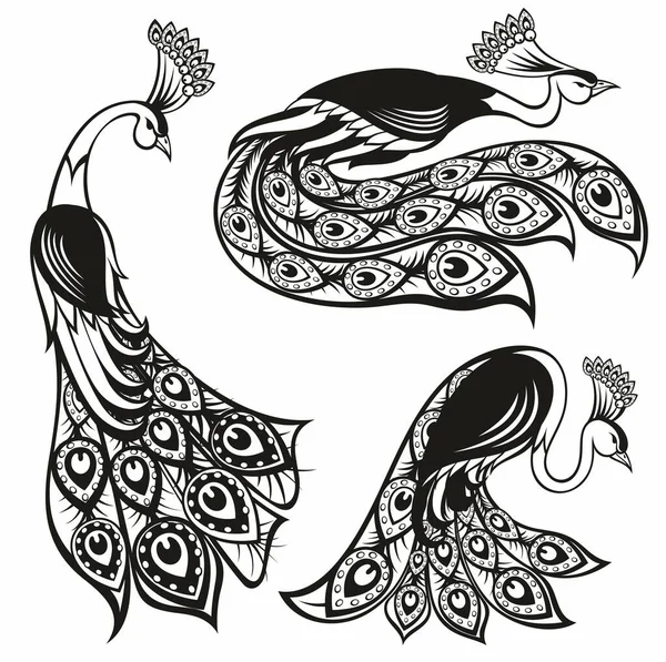 Pássaro Fadas Mágico Phoenix Bird Peacock Bird Ornamental Silhouette Para —  Vetores de Stock