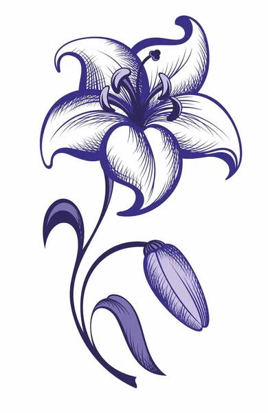 Lily Illustration Vectorielle Fleurs Dessinées Main — Image vectorielle