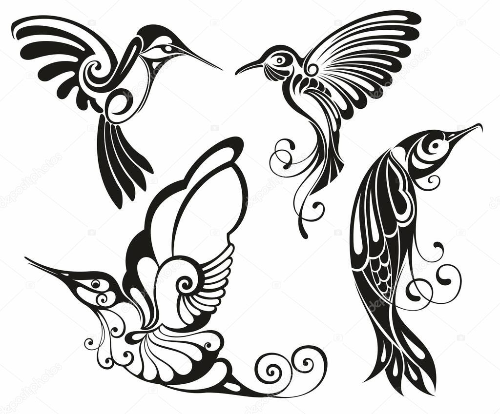 Hummingbird design vector illustration, Creative Hummingbird logo template, icon symbol