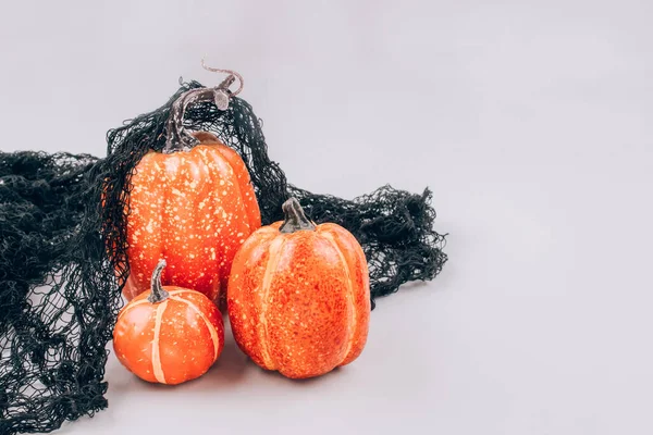 Concepto de Halloween mínimo. Calabazas naranjas decorativas sobre fondo gris claro con espacio para copiar. Decoraciones de Halloween o invitación a la fiesta. Enfoque selectivo — Foto de Stock