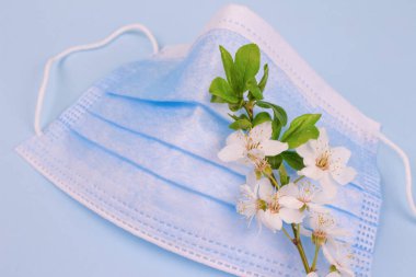 Pastel mavi arka planda koruyucu yüz maskesi ve kiraz çiçeği dalının yakın görüntüsü. Mevsimlik bahar alerjisi konsepti. Seçici odak