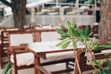 Yazlık plaj kafe ya da restoran, arka planda mavi açık hava restoranı. Yaz turizm sezonu, seyahat konsepti