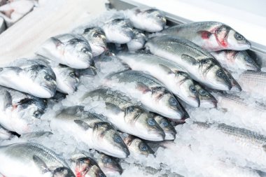 Taze soğutulmuş Avrupa deniz kabuğu balığı ve deniz ürünleri süpermarketinde Gilthead deniz kepeği. Seçici odaklanma, Akdeniz su kültürü endüstrisi. Taze ve eski balıklar.