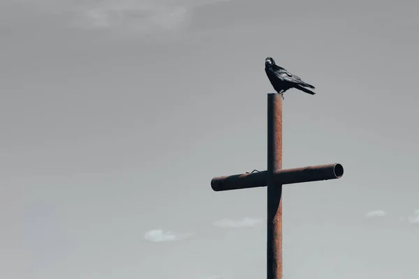 Corvo Nero Seduto Sulla Vecchia Croce Metallo Cimitero Contro Cielo — Foto Stock