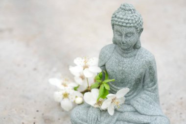 Beton zemin üzerinde çiçek açan kiraz ağacı dallı ve fotokopi alanı olan Buda heykelinin yakın görüntüsü. Meditasyon ve spa konsepti, akıl sağlığı. Kendine zaman ayır.