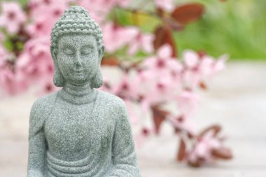 Buda heykeli bulanık çiçek açan sakura dalına karşı fotokopi alanı ile arka plan olarak. Meditasyon ve spa konsepti, akıl sağlığı. Kendine zaman ayır.