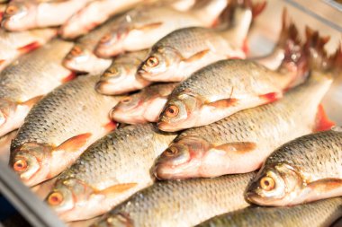 Arka planı fotokopi alanı olan taze sazan balığı. Taze balıklı deniz ürünleri marketi. Taze balık teslimatı kavramı