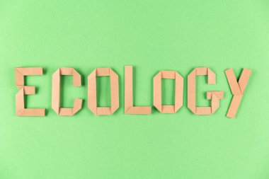 Çevresel sorunlar ve sıfır atık kavramı. ECOLOGY 'a Kraft kağıdından harflerle yazılmış, yeşil arkaplandan alıntı. Düz yatıyordu