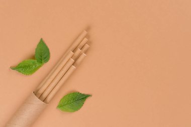 Kraft kağıdının, ambalaj kâğıdında pipet içerken görüntüsü açık kahverengi arka plan üzerinde fotokopi alanı ve yeşil taze yapraklarla birlikte. Sürdürülebilir yaşam tarzı ve sıfır atık kavramı