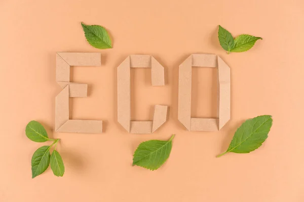 Text Eco Aus Kraftpapier Origami Buchstaben Mit Grünen Blättern Auf — Stockfoto