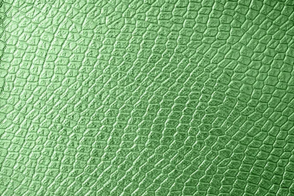 Green crocodile or snake skin texture as background for your project with copy space for text. Artificial textile texture