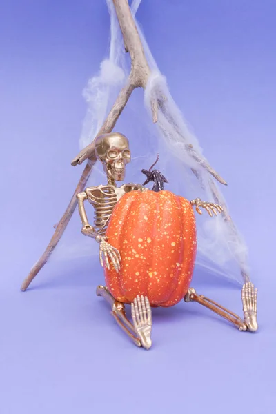 Funny Halloween Composition Golden Skeleton Sitting Big Orange Pumpkin Purple — Stockfoto