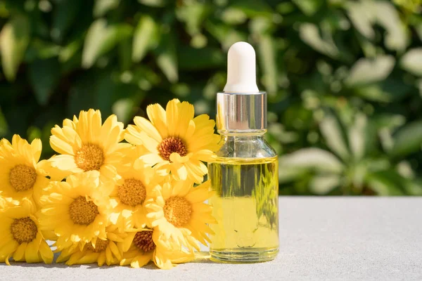 Transparent Dropper Bottle Calendula Oil Green Leaves Natural Background Making — Foto Stock