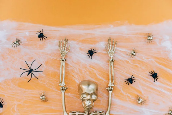 Funny halloween background with cobweb, spiders and golden skeleton over orange background with copy space. Halloween party celebration concept