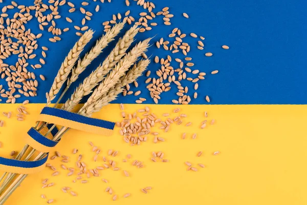 Ears of wheat and grain around over Ukrainian flag. Global and European food crisis. World wheat grain crisis resolution