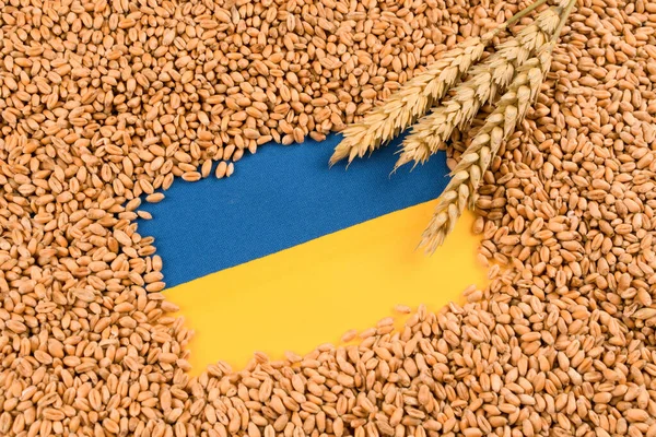 Ears of wheat and grain over Ukrainian blue and yellow flag. Global and European food crisis. World wheat grain crisis after russian invasion of Ukraine