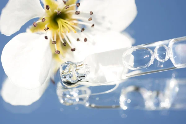 Skleněná Pipeta Průhlednou Kosmetickou Tekutinou Proti Světle Modrému Pozadí Květinami — Stock fotografie