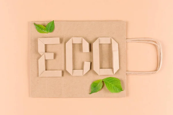 Papieren Boodschappentas Met Tekst Eco Erop Lichtbruine Achtergrond Groene Bladeren — Stockfoto