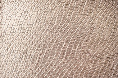 Projeniz için altin sürüngen deri dokusu ve metin için kopyalama alanı. Yapay tekstil dokusu