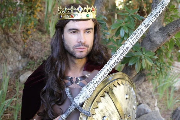 Close Portrait Handsome Young Man King Costume Sword Shield Nature — Stock Photo, Image