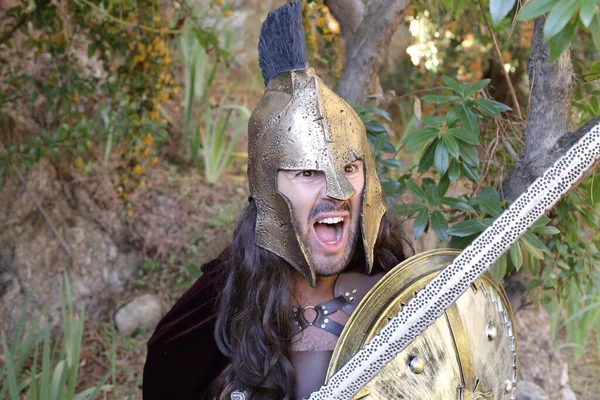 Doğada kılıç ve kalkan taşıyan şövalye kostümlü yakışıklı genç adamın yakın plan portresi.