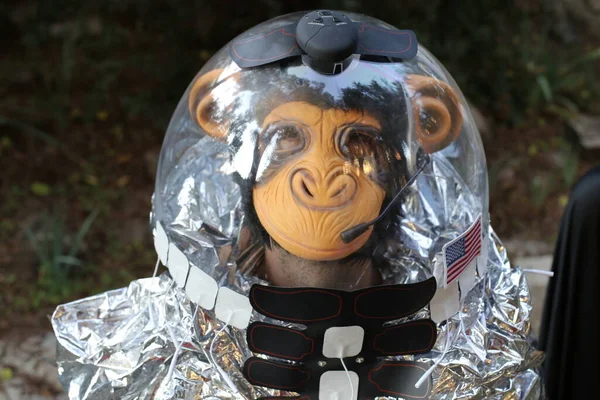 close-up portrait of young man with monkey mask in diy astronaut suit made from foil outdoors