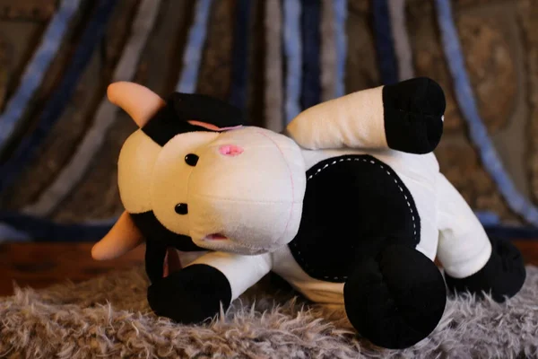 Close Shot Cow Soft Toy — Stock Photo, Image