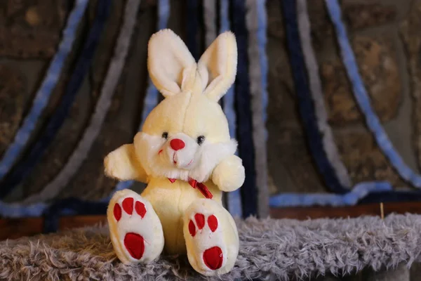Крупним Планом Знімок Якої Іграшки Кролика — стокове фото