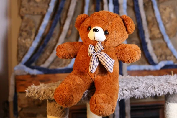 Primer Plano Tiro Peluche Oso Suave Juguete — Foto de Stock