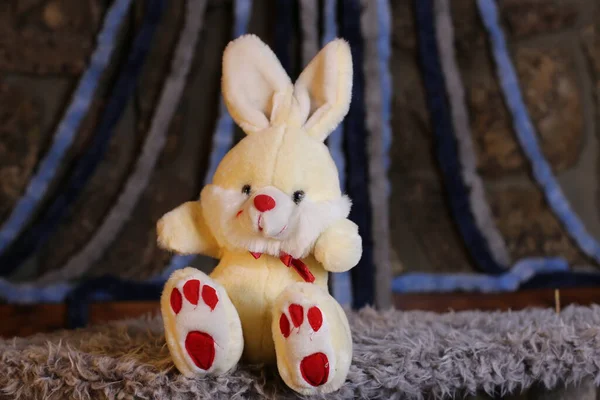 Крупним Планом Знімок Якої Іграшки Кролика — стокове фото